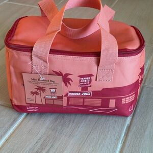 Trader Joe's Mini Insulated Bag in Orange and Red